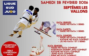 Coupe régionale kata sportif