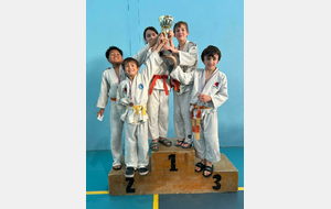 Tournoi Saint Martin de Crau